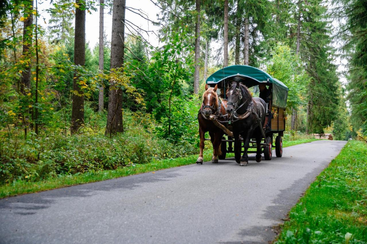 Ferienhotel Goldhuebel Neuhausen  Zewnętrze zdjęcie